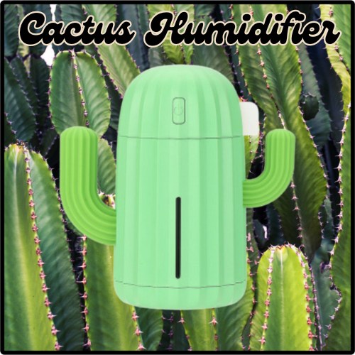 🌵Cactus Humidifier🌵