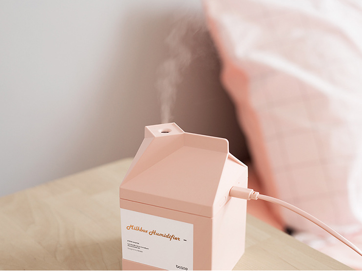 🥛Milk carton Humidifier🗳